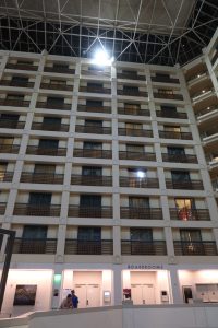 IMG 6539