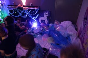 IMG 6557