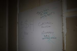 IMG 6588