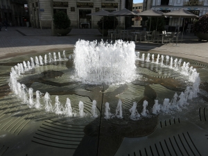 IMG 4879