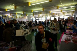 BronyFair-2015-CertainGoat-065-DSC06352