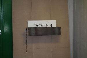 DSC00413