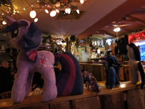 BronyFair-2016-Jamis-020-IMG 6519