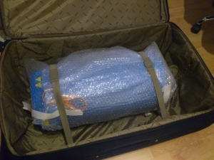 BUCK-2013-Melgarh-01