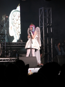 IMG 7551