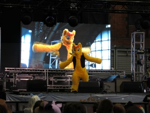 IMG 7831