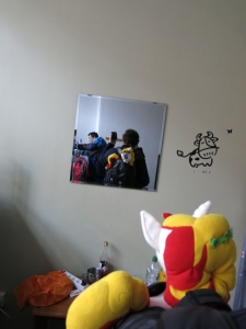 IMG 7431