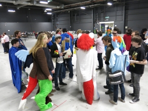 IMG 7627