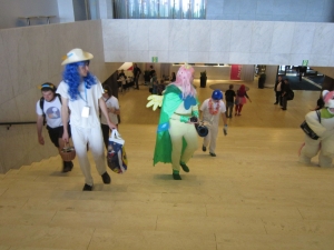 IMG 1247