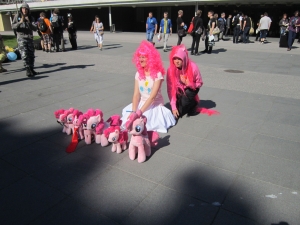 IMG 1467