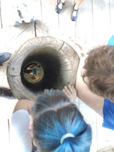 octavia-team-IMG 20190823 181842