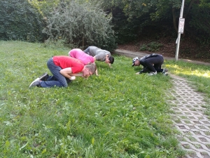 svengallop-team-20190823 1621022