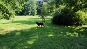 svengallop-team-IMG 20190823 093239