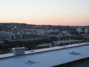 IMG 6146