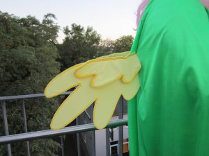IMG 6149