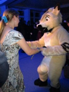 IMG 6176