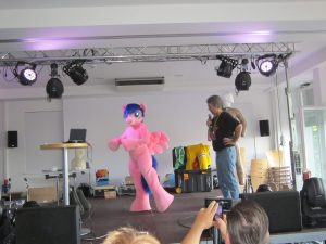 IMG 6236