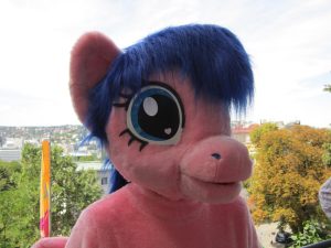 IMG 6251