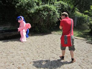 IMG 6264