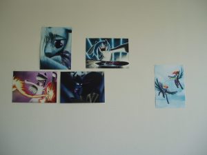 OLYMPUS DIGITAL CAMERA