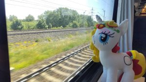 120-IMG 20250622 123315